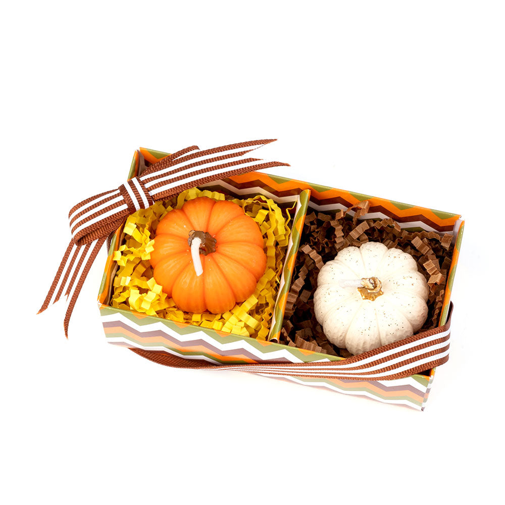 Thanksgiving Candles Fall Scented Candle Gift Set 2 Pack, Mini Pumpkin Shaped Spice Candle, Pumpkin Scented Soy Wax for Autumn, Halloween & Thanksgiving Home Decor (Orange White)